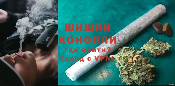 шишки Гусиноозёрск