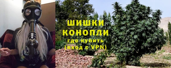 шишки Гусиноозёрск