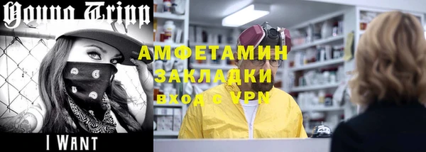 шишки Гусиноозёрск