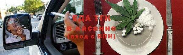 шишки Гусиноозёрск