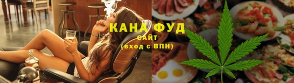 шишки Гусиноозёрск