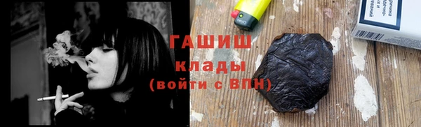 шишки Гусиноозёрск