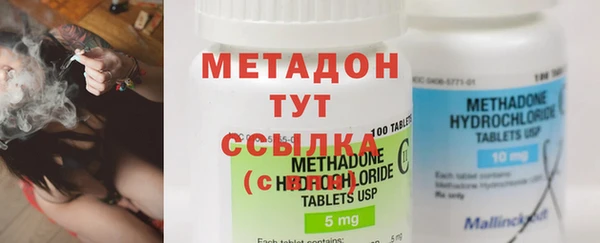 шишки Гусиноозёрск