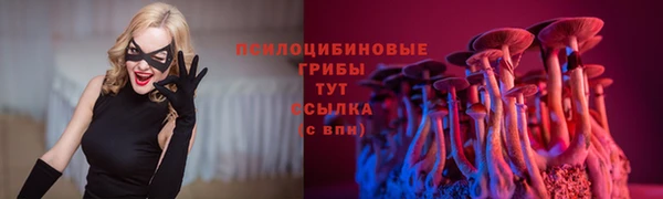 меф VHQ Гусев