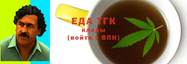 шишки Гусиноозёрск