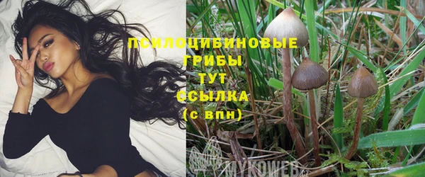 кристаллы Гусь-Хрустальный