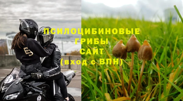 кристаллы Гусь-Хрустальный
