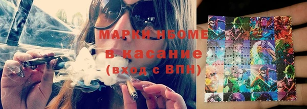 шишки Гусиноозёрск