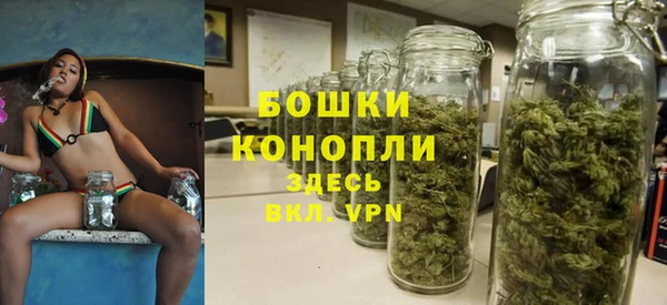кристаллы Гусь-Хрустальный