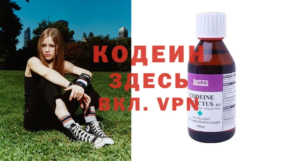 шишки Гусиноозёрск
