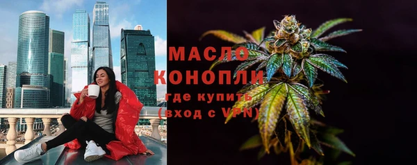 шишки Гусиноозёрск